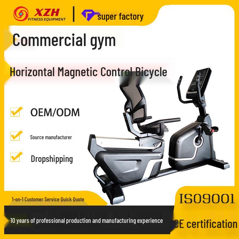 Commercial Magnetic Recumbent Exercise Bike