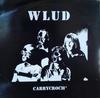 LP Пластинка WLUD - Carrycroch' OM67005 Omega Studio 2025 Франция Рок