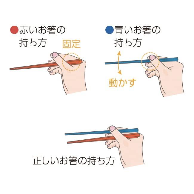 Aoyoshi Willassist Обучение использованию палочек для еды для детей 4 лет и 5 лет, малышей ростом 16 см. Практика удержания. Исправление того, как правильно держать первые палочки для еды.