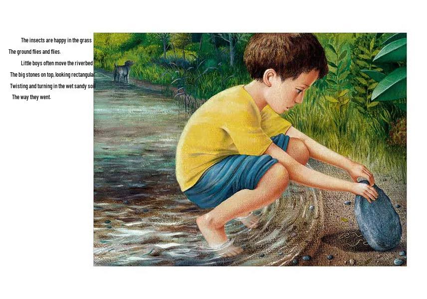 История маленького Дарвина: Интерактивная книжка с картинками