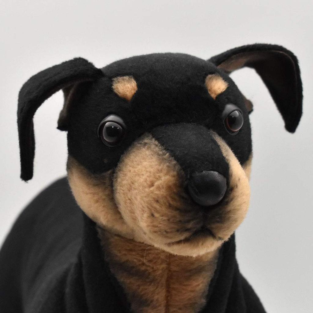 BH3877 HANSA Pinscher 43