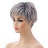 Short Silver-White Synthetic Wig for Women