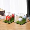 Transparent Golf Ball Display Case Dust Protection Golf Ball Acrylic Box  Collectibles