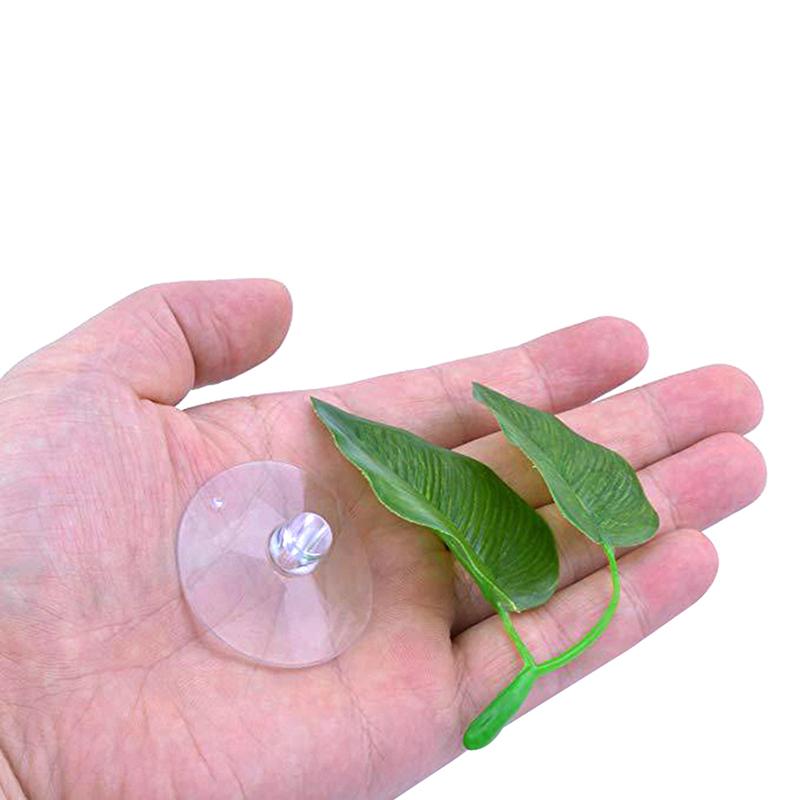 Бетта-рыбка, отдых, аквариум, листья, растения, украшение, нерест, декоративное растение, Бетта