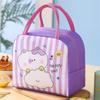 Cartoon Thermal Lunch Bag for Children Insulated Bento Box Portable Picnic Food Storage Bag