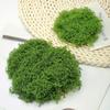 Simulation Moss Diy Artificial Moss Green Plant Decoration Landscaping Bonsai Pavement Silky Fake Moss