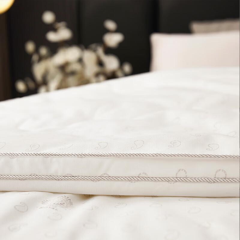 Donner Milk Silk Cloud Winter Quilt