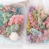 1 Box Real Mix Dried Flowers for Epoxy Resin Jewellery Pendant Dry Plants Pressed Flowers