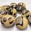 Septarian Palm Stone Smooth Septarian Healing Crystal For Home Ornament