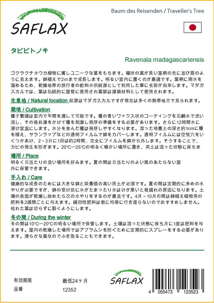 SAFLAX Дерево путешественника - 8 семян - Ravenala madagascariensis
