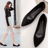 Women's Shallow Flat Shoes Pointed Platform Shoe  2024 Newest Summer Autumn Suede Leather Low Heeled Pumps Party Shoes Woman
