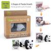 Montessori Animal & Plant Growth Cycle Teaching Toys for Kids