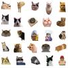 50 Funny Funny Cat Waterproof Doodle Decorative Reusable Stickers For Birthday Christmas Gifts