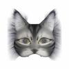 White Mask Kit Blank Mask Animal Mask Craft Kit Therian Mask  Cosplay