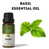 Ananta Basil Essential Oil 10ml – Natural Herbal Aromatic Oil for Home, Diffuser & DIY Use