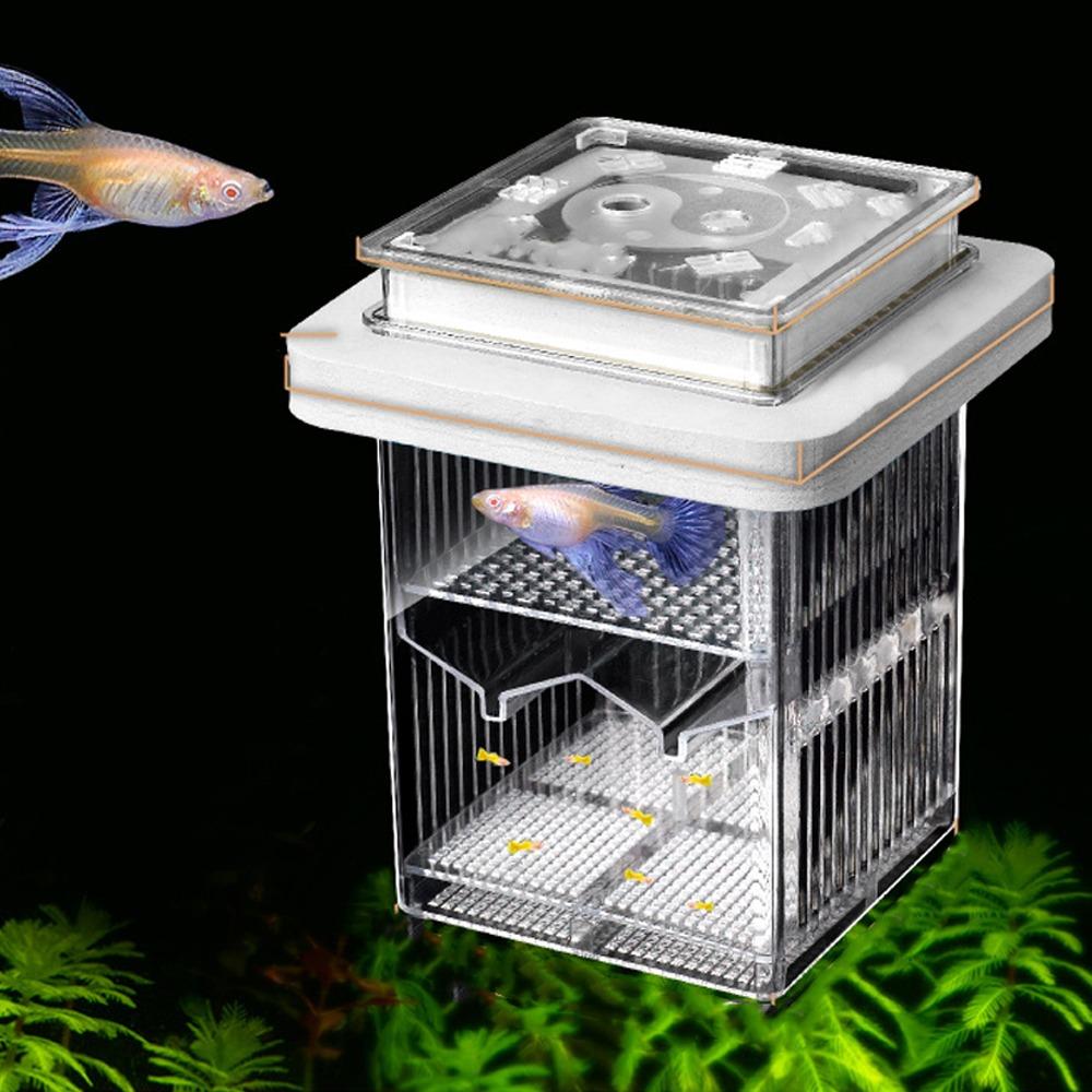 Permeable Floating Hatching Box Transparent Fish Tank Divider Mother Fish Incubator  For Small Fish