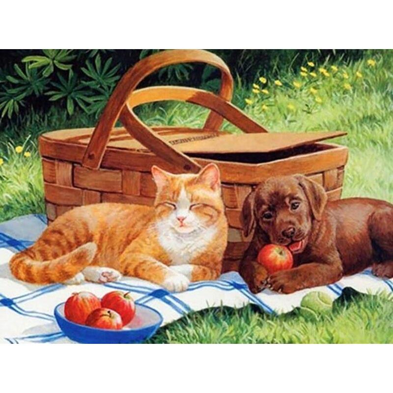 Новый 5D DIY алмазная живопись собака Алмазная вышивка животное вышивка крестиком полная квадратная круглая дрель ремесла домашний декор ручной художественный подарок