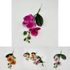 Butterfly Orchid Simulated Flower For Bedroom And Event Decoration With Realistic Design For Photography Props