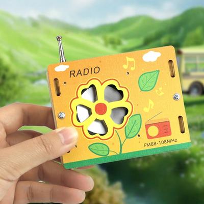 DIY Портативное Беспроводное FM-радио Модель Научный Эксперимент Ручная Работа Упаковка Материалов Маленькие Подарки для Детей Настольное Украшение