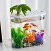 Transparent Aquaponic Fish Bowl Removable Plastic Hydroponic Fish Tank Goldfish Tank   Table