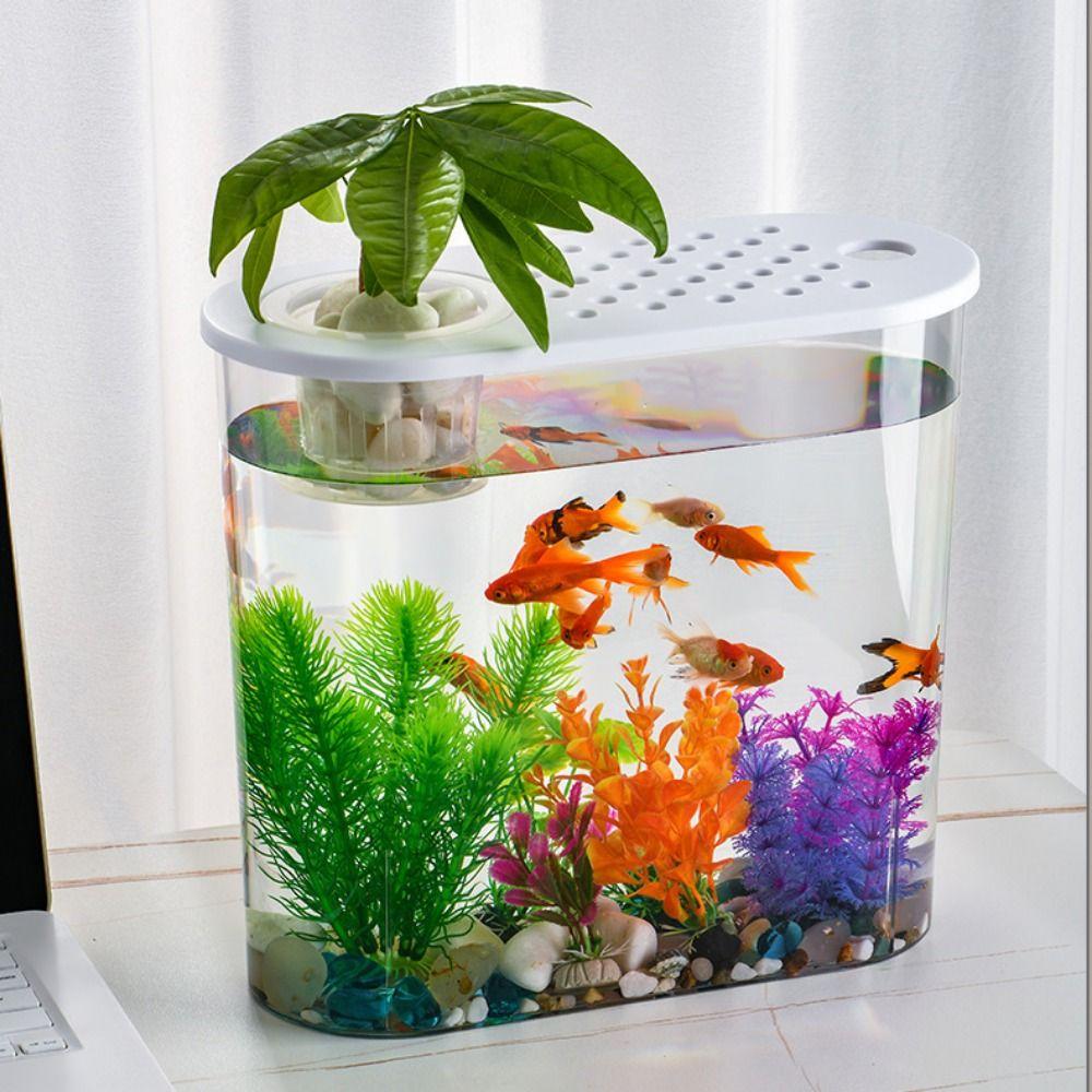 Transparent Aquaponic Fish Bowl Removable Plastic Hydroponic Fish Tank Goldfish Tank Table