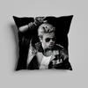 Pillow Case luxurious home office, sofa decorative Multi sized car seat cushions, pillowcases G-George Michael Singer