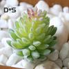 1шт пластиковые поддельные искусственные суккуленты растение бонсай сад домашний офис декор