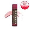 Burtsbees Tinted Lip Balm Daisy 4.25g
