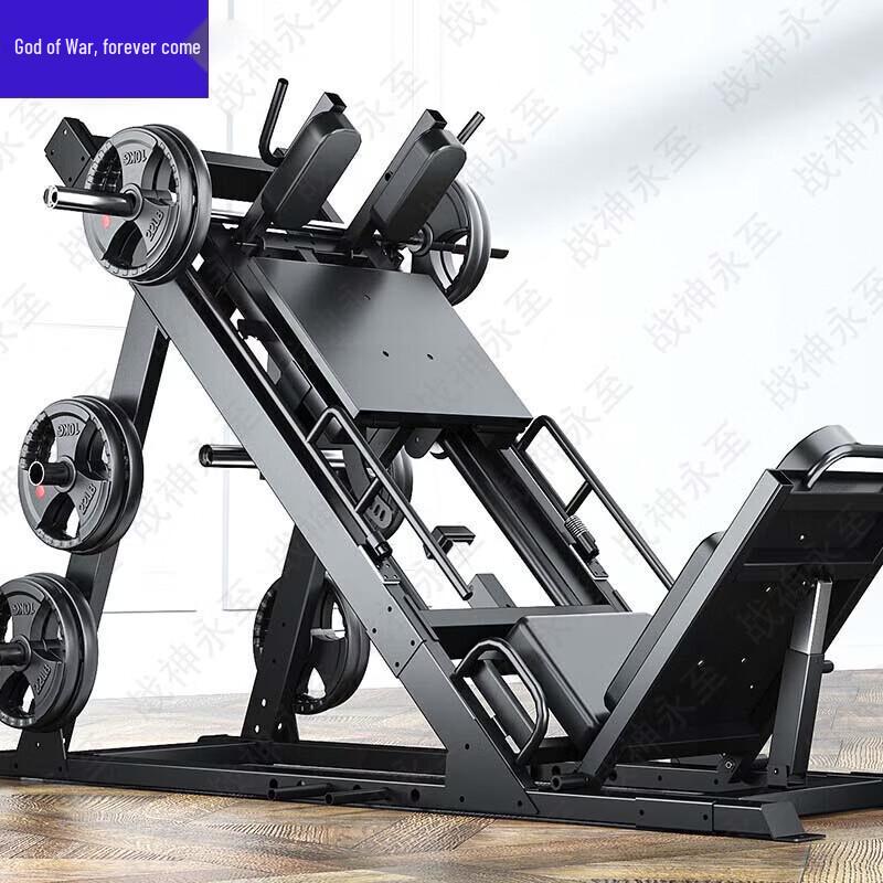 Zhanshen Yongzhi Leg Press & Squat Machine