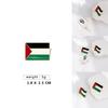 Fashionable Palestinian Flag Brooch Pin Wholesale Metal Badge For Clothing Accessories