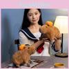 Plush Capybara Pumpkin Toy Stuffed Animal Doll Decoration Gift 30cm Collectors