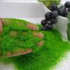 Порошок искусственной травы Песочница Игра Ремесло Декор Микро-ландшафт Украшение Дом Сад DIY Аксессуары Строительная модель Материал