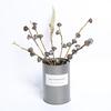 Cool Tones Dried Bouquet: Eucalyptus & Berries Air-Dried Decorative Flowers
