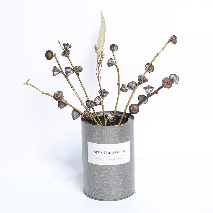 Cool Tones Dried Bouquet: Eucalyptus & Berries Air-Dried Decorative Flowers