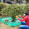 Тент для ландшафтных работ с отверстием 12 дюймов Водонепроницаемый барьер Садовый тент Защитная ткань для обрезки Садовый водонепроницаемый тент для обрезки деревьев
