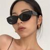 Fashion Cat Eye Sunglasses For Women Men Retro Street Shooting Trendy Sun Glasses Outdoor Driving Sun Shades Uv400 Eyewear