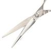 DEEDS GTZ Sword Scissors by Japanese Scissors Professional Hairdresser and Haircutter with Case [PF] (6.0 inch) Manufacturer,