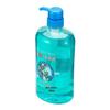 Fenhua Herbal Anti-Dandruff Shampoo