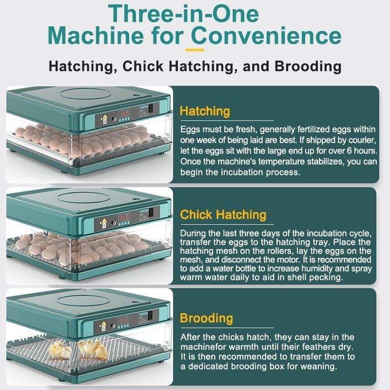 Автоматический инкубатор для яиц на 12/24/48/64/130 яиц Термостатическая машина для выведения цыплят Многофункциональный инкубатор для фермерских яиц