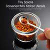 Tiny Spoons Mini Stainless Steel Spoons Food Grade Seasoning Spoon for Powder Spices Pepper Sugar Coffee Versatile Kitchen Tool