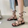 Fashion Sandals Women Summer New 2024 Beach Fashion Sexy Flat Casual Cross-Tie Open Toe Fairy Style Narrow Band Shoes Black Rome Sandals