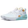 Баскетбольные кроссовки Li Ning Fury Durable Low Top мужские кроссовки белые синие ABFT019-5