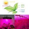 500W 2 Mode Switch Full Spectrum LED Grow Light Phytolamp 240 Led Chips Plant Greenhouse Light For Indoor Plant