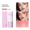 Violet Tube Sponge Head Blush Stick Matte Mist Face Natural Hold Rouge Blush