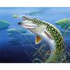 Алмазная картина Красивая рыба Вышивка крестиком Мозаика Мультфильм Алмазная вышивка Круглая дрель