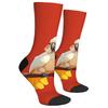 1 Pair All-Season Crew Socks Cartoon Cute Parrot Pattern Print Polyester Stocking for Casual Sports & Outdoor Men & Women