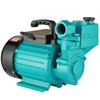 BENXINNONG 220V Self-Priming Water Pump