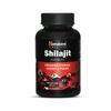 Shilajit Capsules 60 Count For Energy Power Stamina Boost And Healthy Testosterone Support For Men And Women Daily Wellness