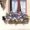 1Pcs Artificial Silk Morning Glory Flowers 43cm Fake Flower Bouquets for Wedding Party Home Decor Balcony Garden Outdoor Decor