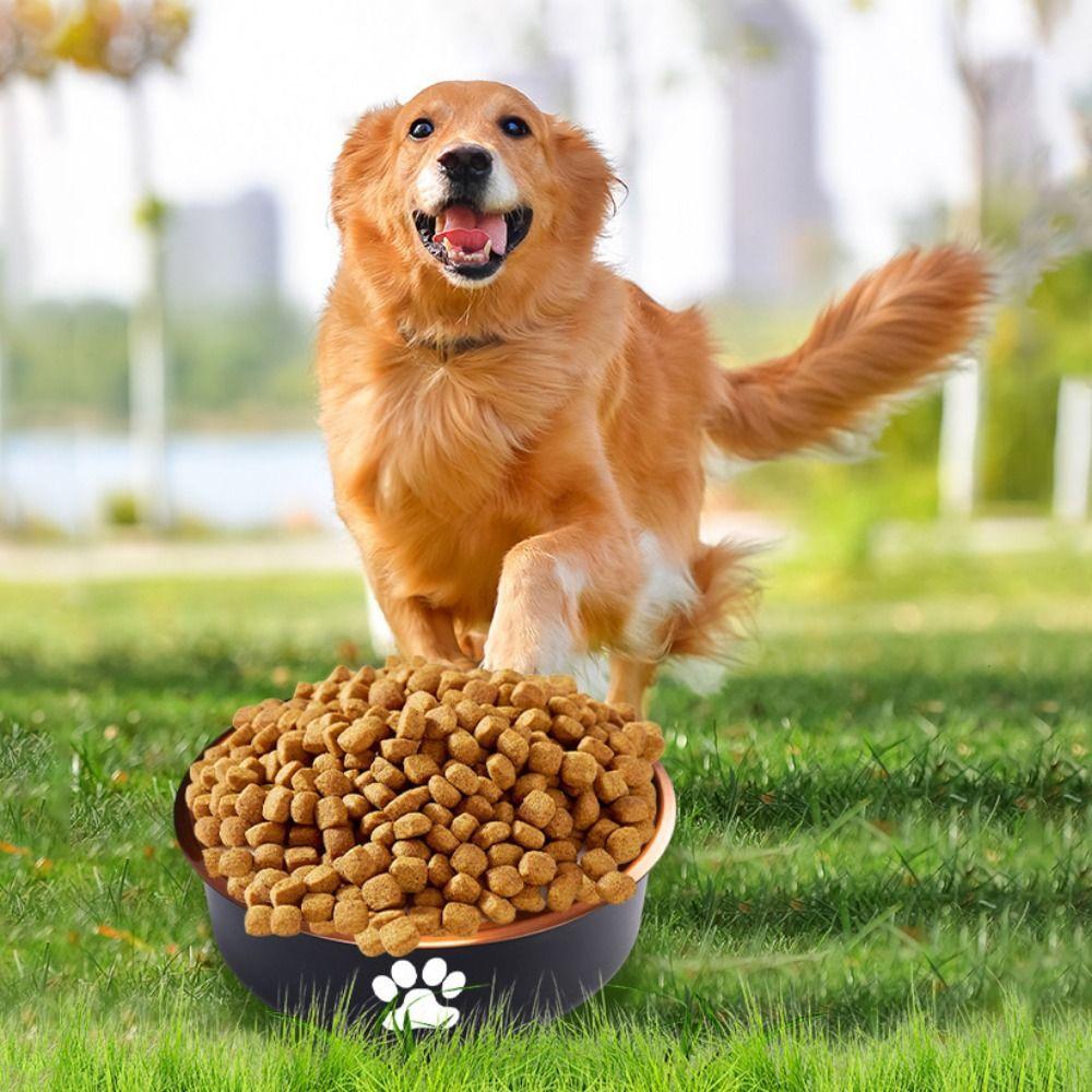 Large Capacity Dog Stainless Steel Food Bowl Cartoon Dog Feeding Basin  For Cats Puppy